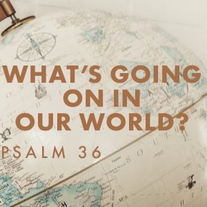 What’s Going On In Our World?