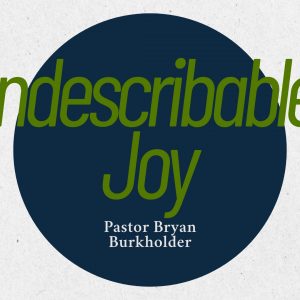 Indescribable Joy